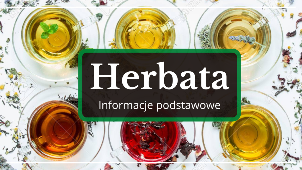 Herbata - Informacje Podstawowe - KaizenBar.pl